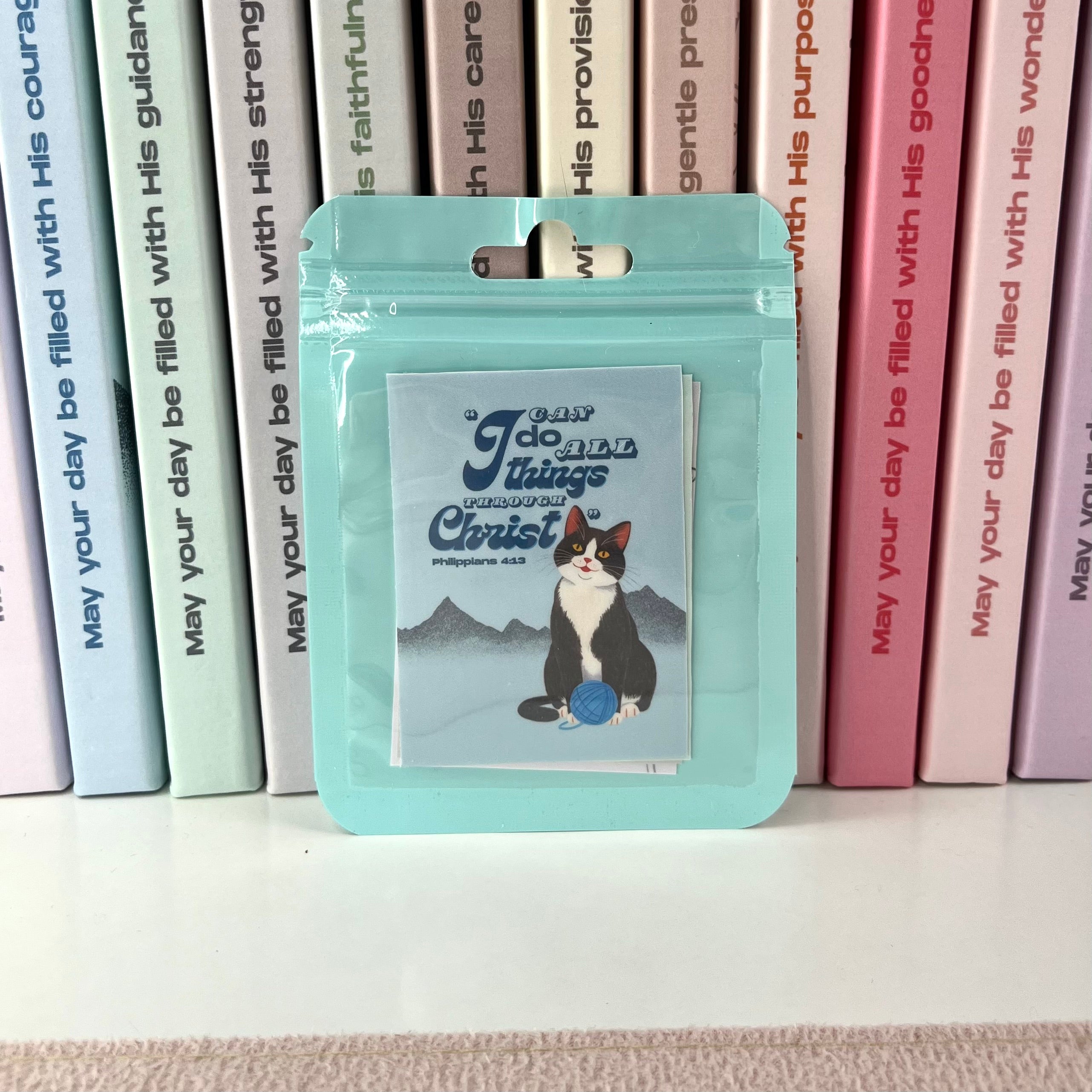 Teal pouch with a cat illustration and text on a shelf with books in the background